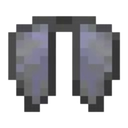 Elytra